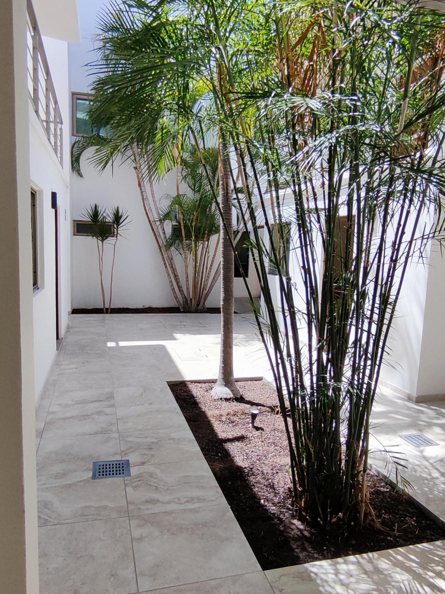 Hotel Lorimar La Paz Dış mekan fotoğraf